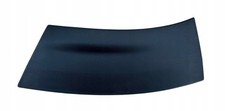 Baguette de porte Dacia DUSTER