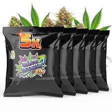 Hoch & Highlig Black Booster CO2-Beutel für ...
