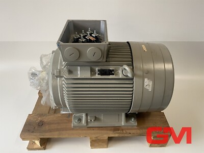 Siemens Niederspannungsmotor 1LG4207-4AA60 low-voltage motor