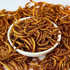 10 LBS Dried Mealworms Bulk for chickens Birds Bluebirds Hamsters Hen Meal Worms