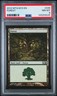 2012 MTG MAGIC 2013 #246 FOREST PSA 8