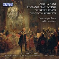 Audio Cd - Zani / Piacentino / Torti / Schiatti - Concerti Per Flauto, Archi E C