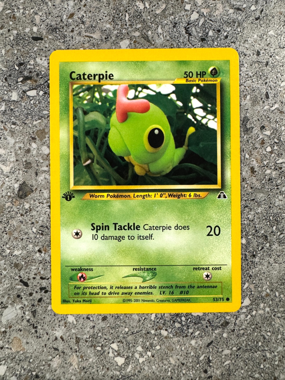 Pokemon TCG Cards 1st Edition Caterpie 53/75 Neo Discovery EXC-NM