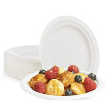 Pack 200 Platos de papel 23cm desechables Biodegradables Ecológicos Compostables