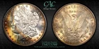 CACG MS-63 1885-P Morgan Silver Dollar, Gorgeous, Crescent-Rainbow Toning!