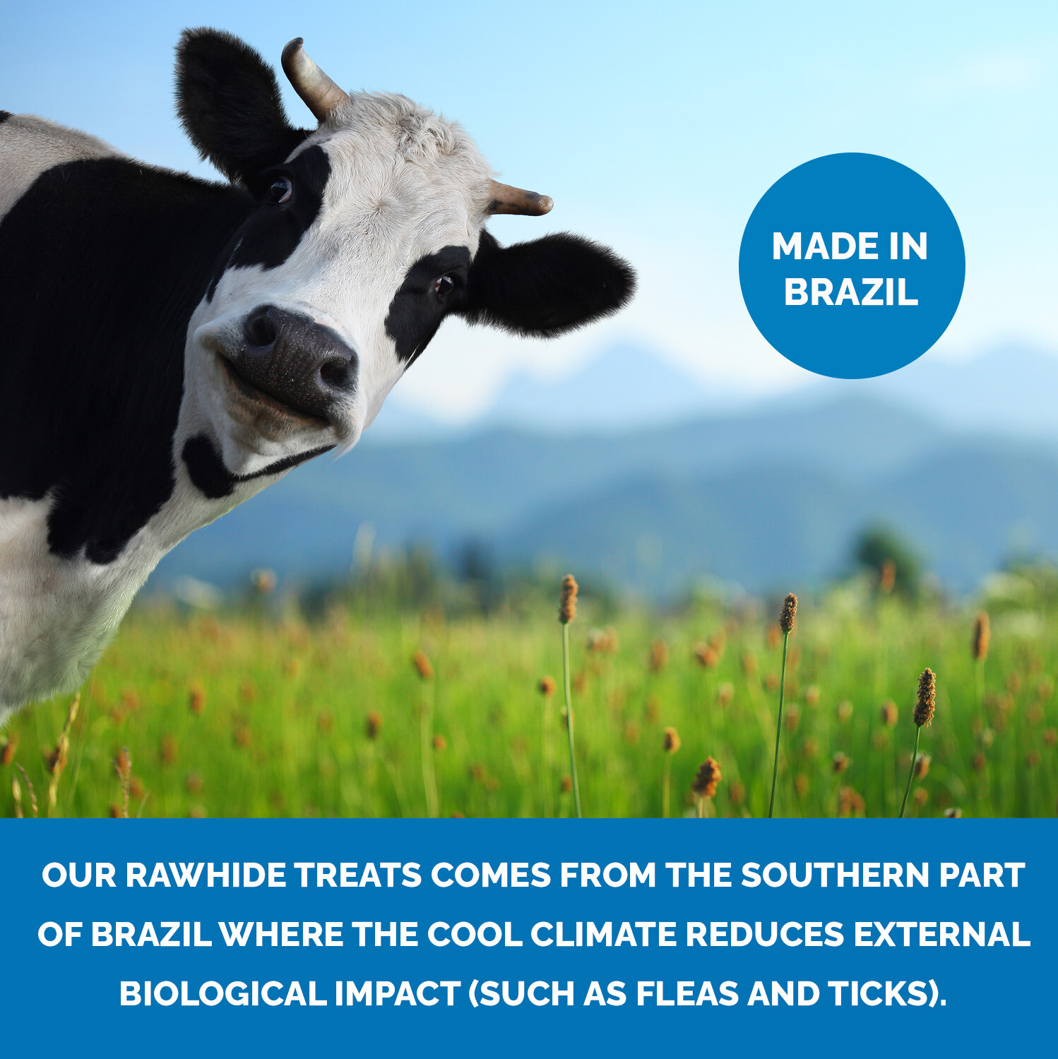 Rawhide Retriever Roll 910" 100 Natural BeefHide Rolls for dogs 123 Treats eBay