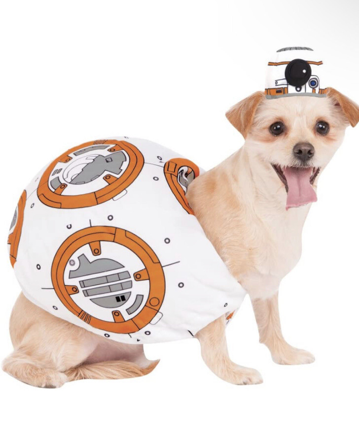 costumes for dogs star wars