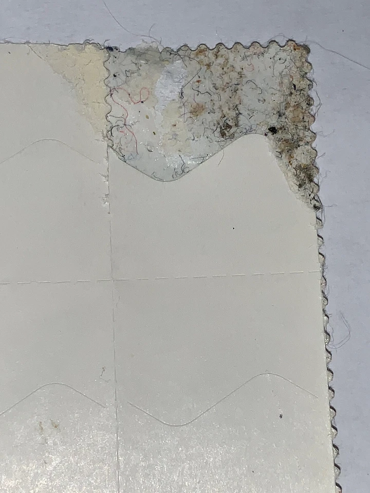 American Kestrel Sheet 1999 of 11 1¢ Stamps  VF Penny Stamp Unhinged MNH - Image 4 of 4