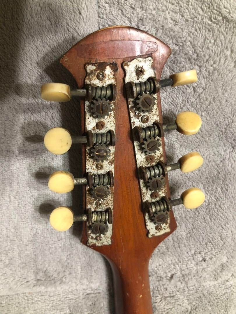 SUZUKI Mandolin No.201 Decorative body Wooden 8 Strings