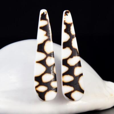 Natürlich Conus Meer Schnecke Muschel Ohrhänger Paar Cabochon Handgemacht 5.13 G