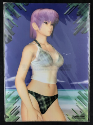 Dead or Alive DOAX Ayane Clear File Document Folder Enterbrain New