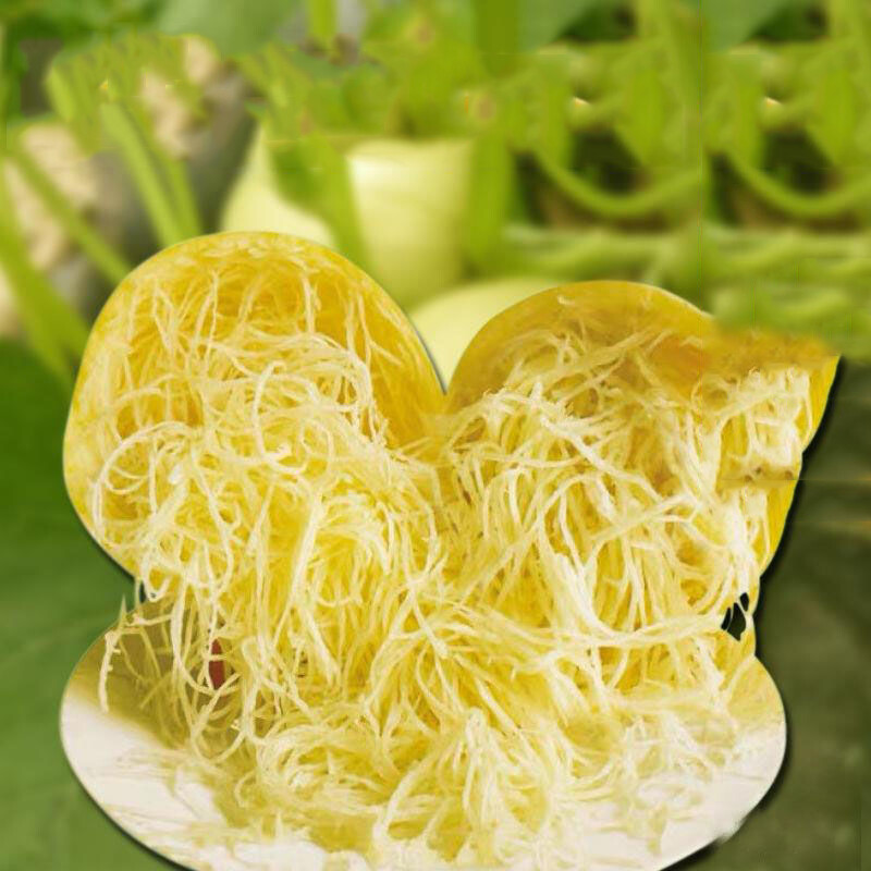 10Pcs VEGETABLE SPAGHETTI Seeds HEIRLOOM Garden WINTER SQUASH Spring 10pcs-vegetable-spaghetti-seeds-heirloom-garden-winter-squash-spring