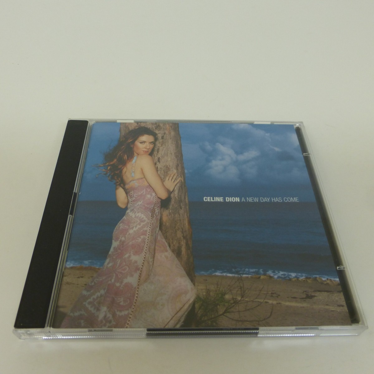 Celine Dion A New Day Has Come 2002 CD | eBay