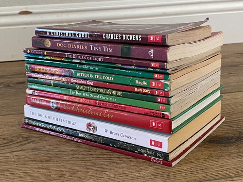 Lot of 14 CHRISTMAS/WINTER Themed Scholastic Classroom Children Books - Picture 7 of 10