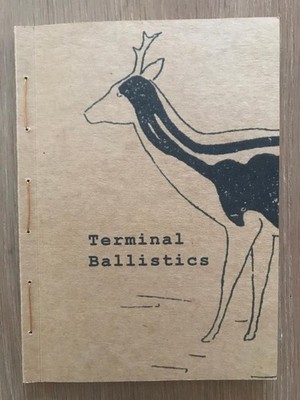 SELTENE Kamil SLESZYNSKI TERMINAL BALLISTIK LIMITIERT AUF 13 KOPIEN (AUSVERKAUFT)