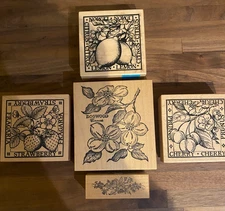 PSX Lot of 6 Rubber Stamps Botanical Fruit, Strawberry, Apple, Lemon, Dogwood 