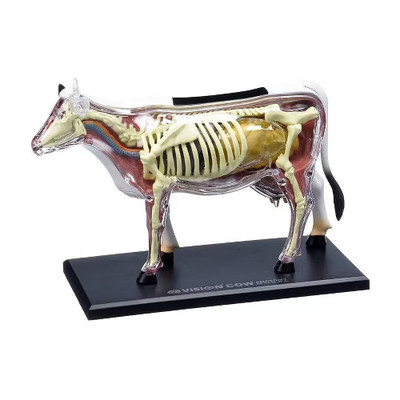 4D Master Vision Cow Anatomy Model 3D Puzzle