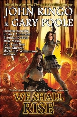 We Shall Rise (Paperback or Softback)
