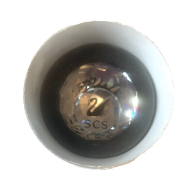 SWAROVSKI CRYSTAL SCS Ball Paperweight Faceted 1995 Membership 100YR Anniversary