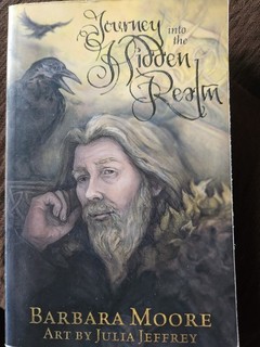 Journey Into the Hidden Realm Barbara Moore Julia Jeffrey Tarot Book Only 2019