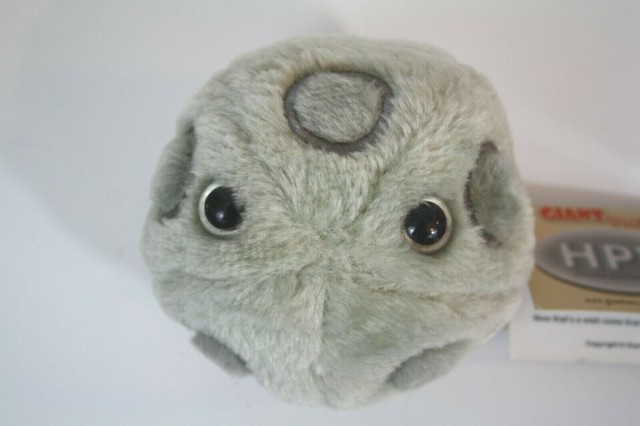 herpes plush toy