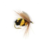 Bild 10 von 12
