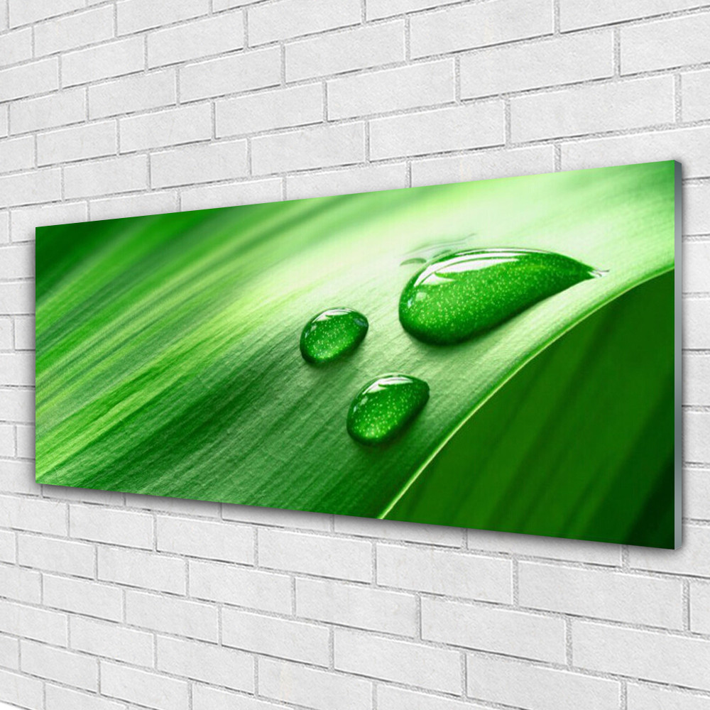 Tableau mural impression sous verre Tulup 125x50 décor végétal feuille gouttes d'eau