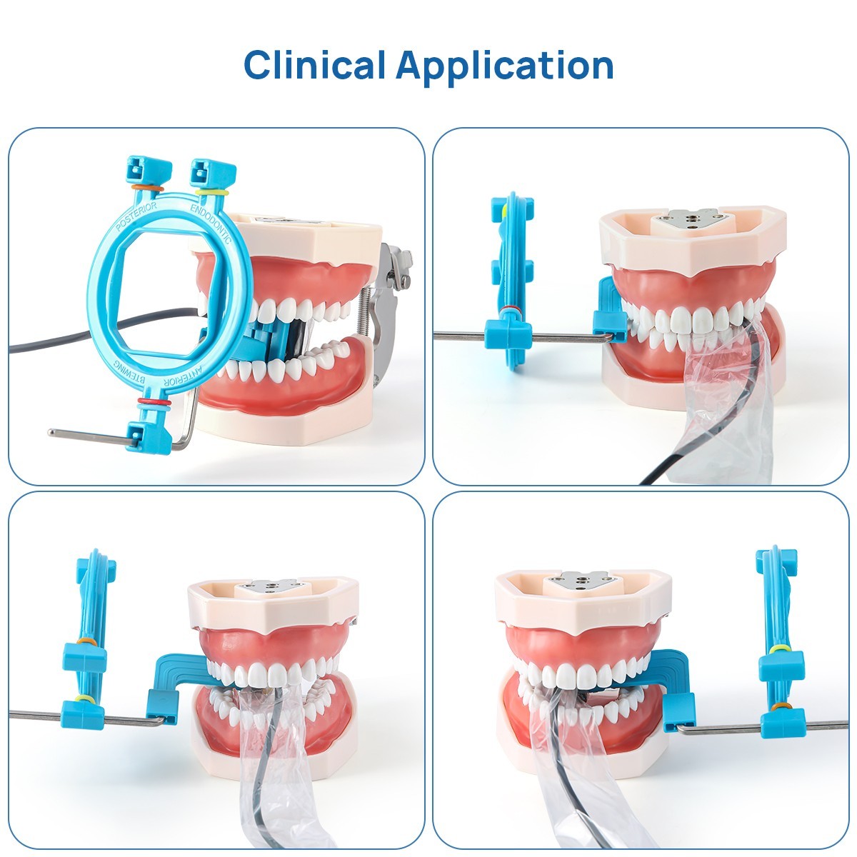 Dental X-Ray Positioner Digital Xray Sensor Holder Oral Film Positioning System