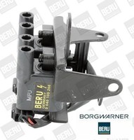 BorgWarner Beru ZS266 ZüNdspule ZüNdmodul FüR Hyundai