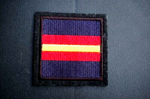6th bn The Royal Anglian Regiment (v) - Picture 1 of 1