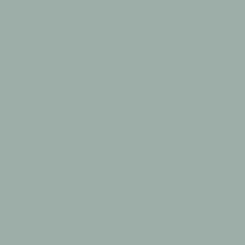 Trumatt Premium Matt Emulsion