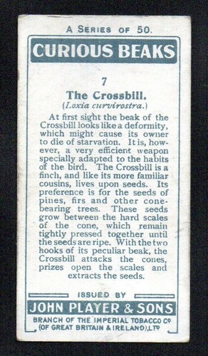 THE CROSSBILL 1929 JOHN PLAYER CIGARETTES CURIOUS BEAKS #7 VG-EX - Picture 2 of 2