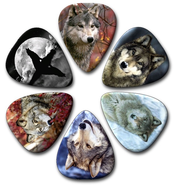 6 WOLVES ~ Guitar Picks ~ Plectrums,  Genuine Celluloid Guitar Picks