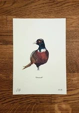 Pheasant - Wildlife Portrait - A5 Fine Art Print - Limited Edition of 25