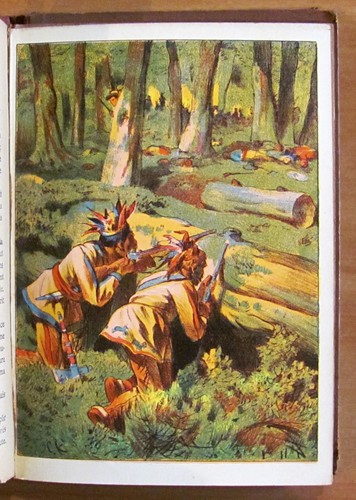 Defoe - Vie et Aventures de ROBINSON CRUSOE - Ed. Schreiter - ill. HOSANG* - Picture 4 of 5