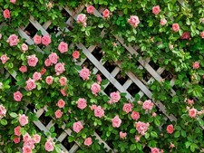 AIIKES 10x8FT Flowers Backdrop for Photography Spring Floral 10x8ft, Green