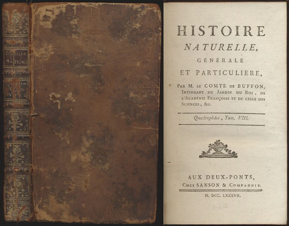 Buffon, Histoire Naturelle, Générale Et Particulière. Deux-Ponts, 1787. - Bild 1 von 1