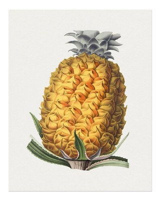Vintage Ananas Wandkunst Botanischer Druck Dekor Botanischer Garten Wa