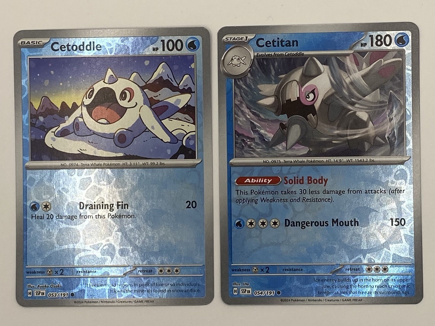 Cetoddle 053/191 + Cetitan 054/191 Reverse Holo Evolution Set Pokémon TCG