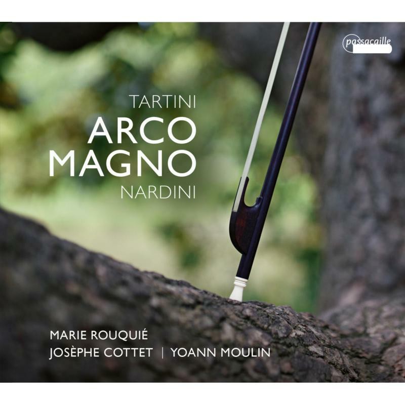 Tartini & Nardini Arco Magno - Image 2