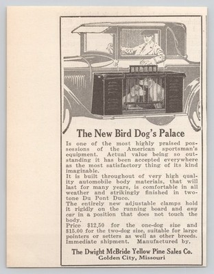 Bird Dog Palace McBride Yellow Pine Golden City Missouri Cars 1928 Ad