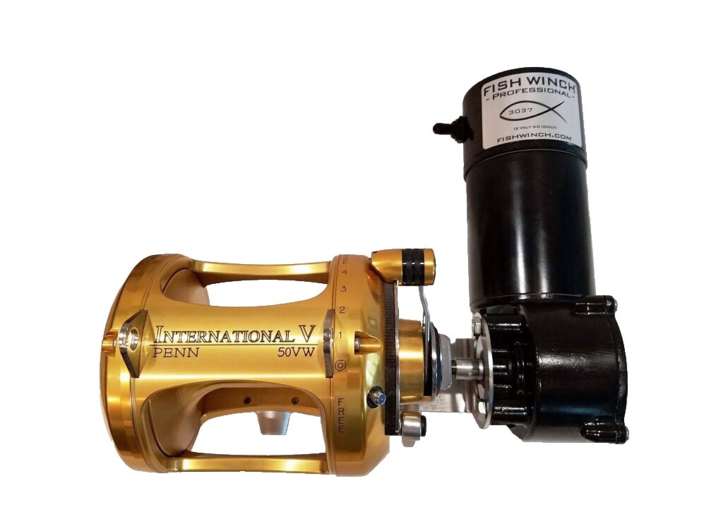【中古/美品】 PENN インターナショナルV 50VSW   /D497M 中古/美品】 PENN インターナショナルV 50VSW /D497Mの通販 by