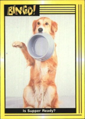 A4764 1991 Bingo the Dog Collector Karte #s 1-110 - Sie Wählen