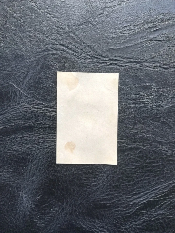 1966 World Cup Garrincha Brasil   Cibeles  - Imagen 2 de 2