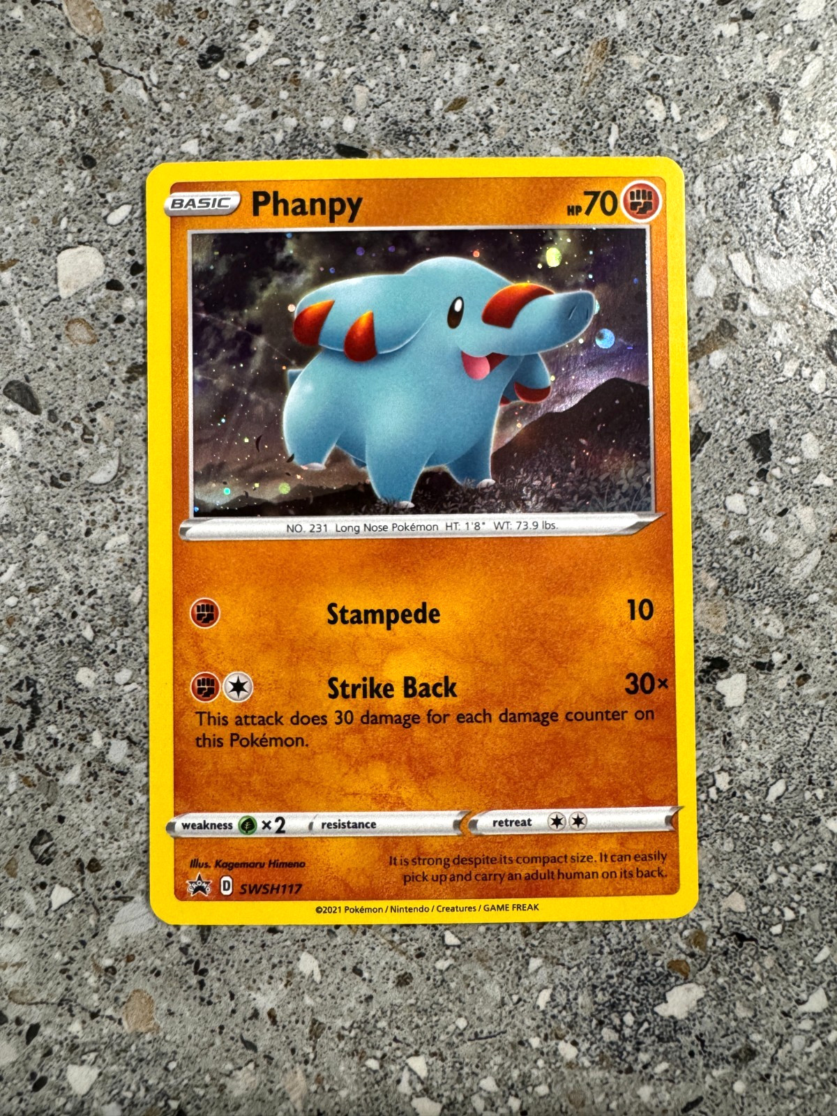 Pokemon TCG Cards Phanpy SWSH117 Black Star Promo Holo NM-M