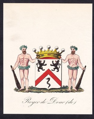 Royer de Dour blason coat of arms Wappen wapen gravure 1845
