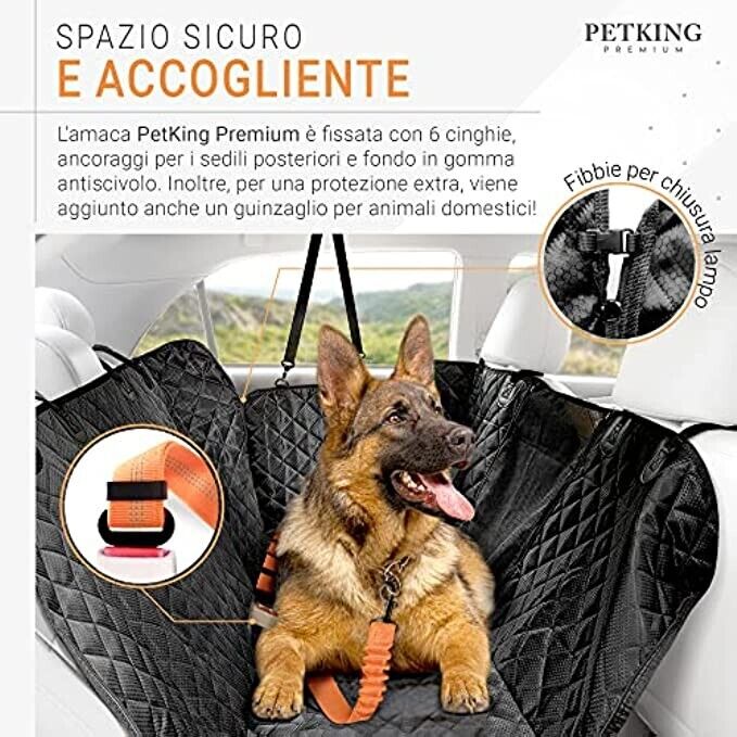 Foto 4 di 6