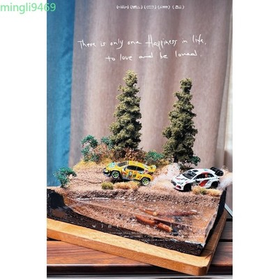 Miniature Scene 1:64 Scale WRC Pegasus Jungle Scene Race Track Forest Diorama