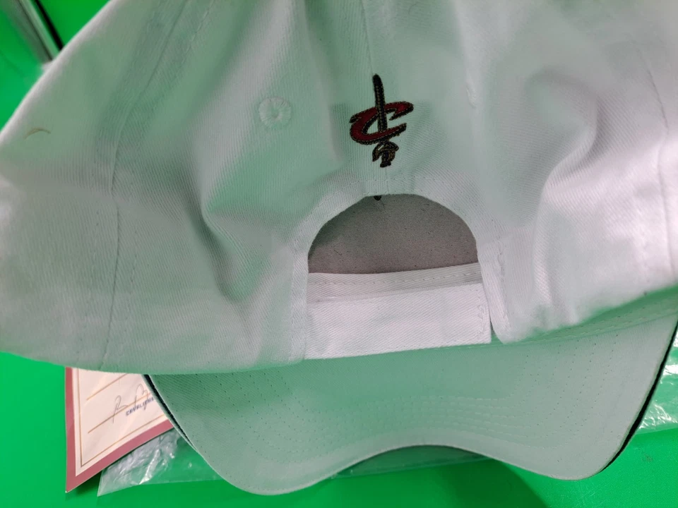 德鲁·古登签名帽克利夫兰骑士队篮球亲笔签名 — 第 4/4 张图片