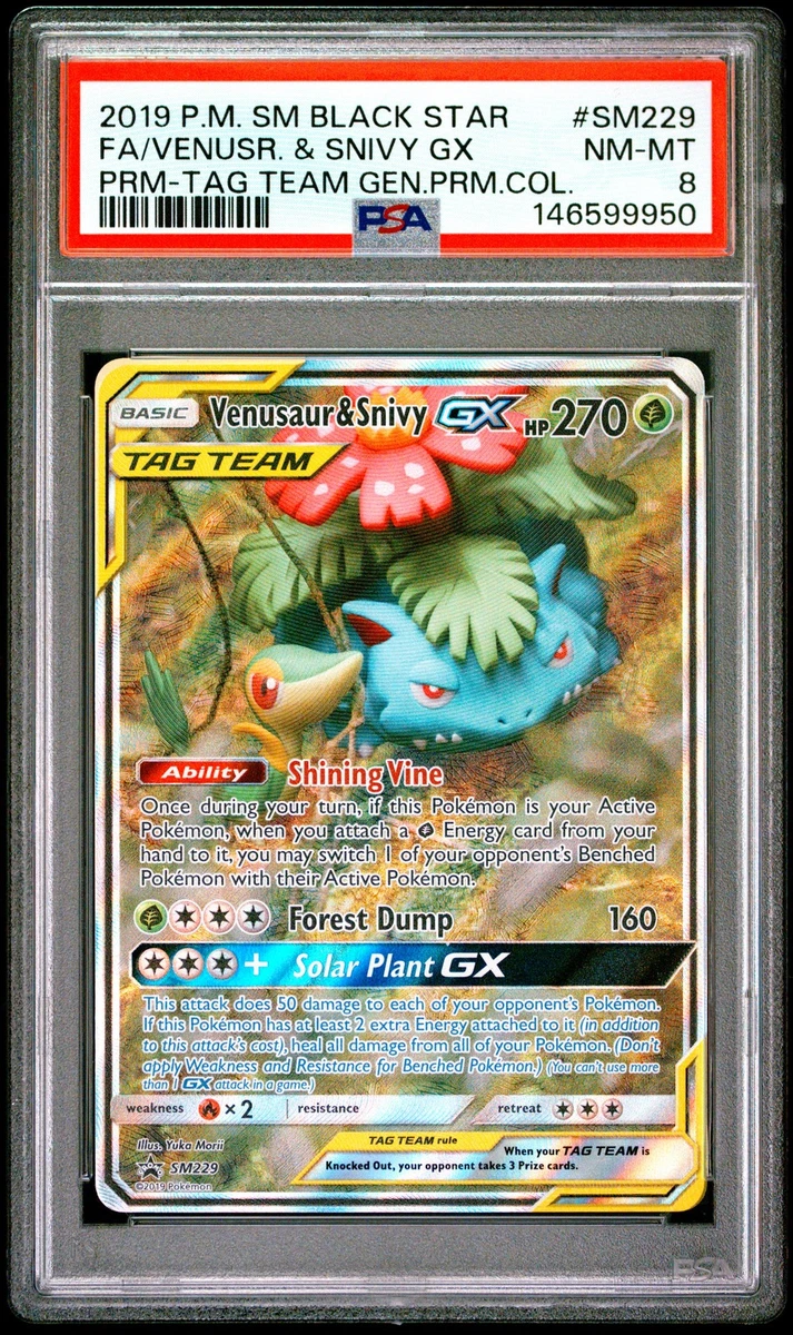 Venusaur & Snivy Gx